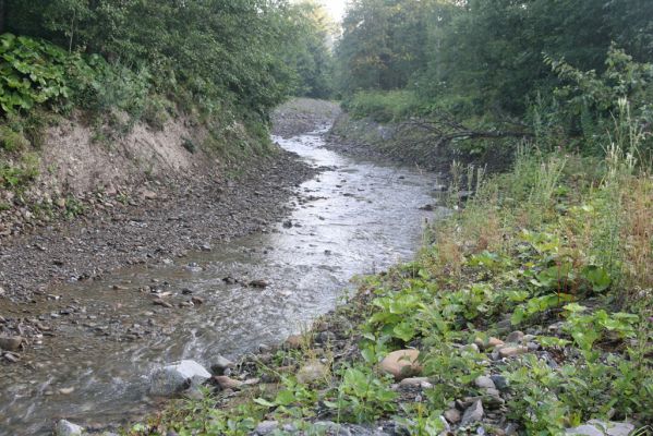 Oravská Polhora, 29.7.2018
Meandry Vonžovce.
Keywords: Orava Oravská Polhora Vonžovec