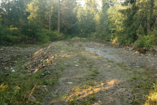 Oravská Polhora, 29.7.2018
Meandry Vonžovce.
Mots-clés: Orava Oravská Polhora Vonžovec