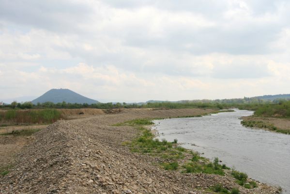 Orkucany, 21.4.2014 
Místo přírodně bohatých meandrů Torysy je teď jen sterilní kanál. V pozadí Šarišský hradný vrch. 
Mots-clés: Orkucany Torysa