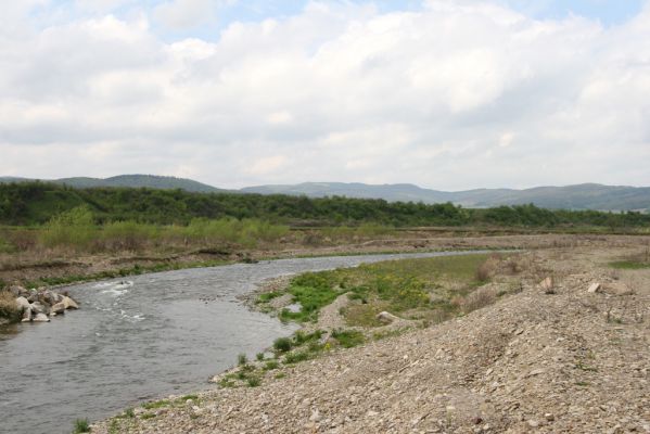 Orkucany, 21.4.2014
Zregulovaný tok Torysy.


Klíčová slova: Orkucany řeka Torysa