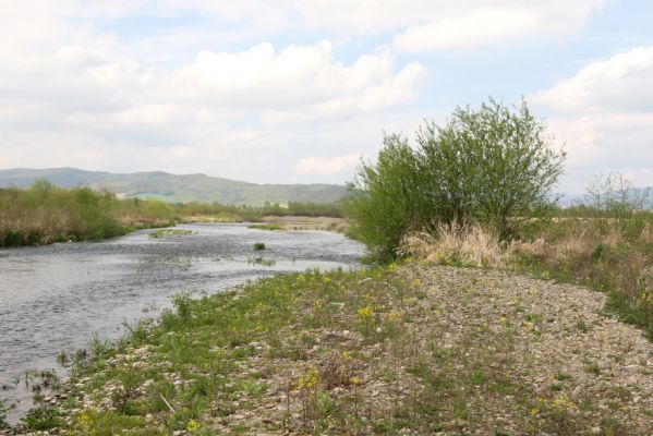 Orkucany, 21.4.2014
Řeka Torysa.



Schlüsselwörter: Orkucany řeka Torysa