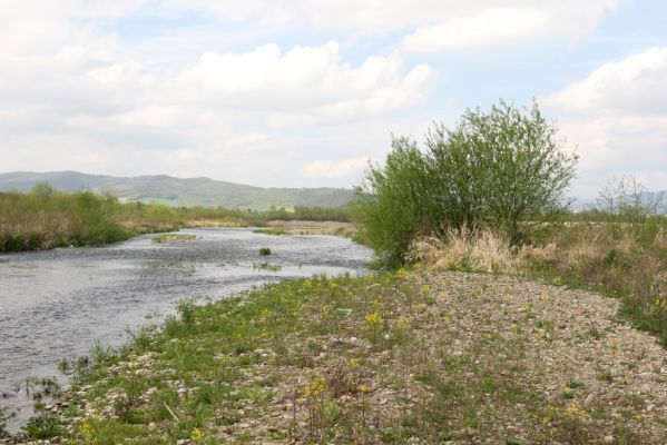 Orkucany, 21.4.2014
Řeka Torysa.



Klíčová slova: Orkucany řeka Torysa