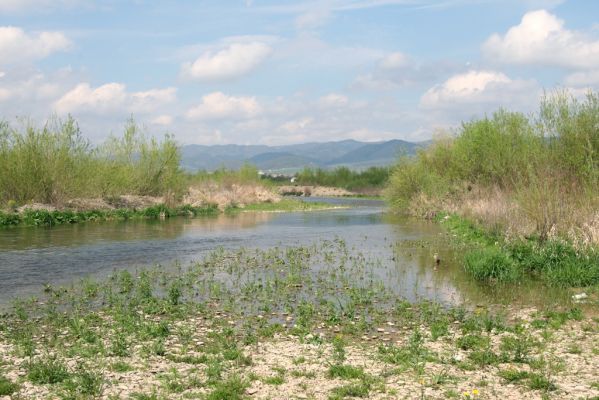 Orkucany-Šarišské Michaľany, 21.4.2014
Pohled od Torysy na Čergov.
Klíčová slova: Orkucany Šarišské Michaľany řeka Torysa