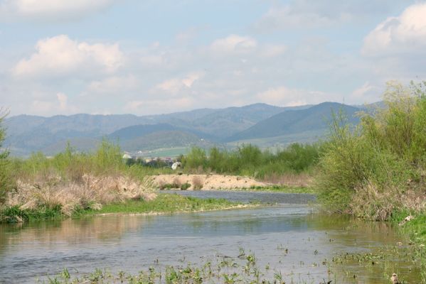 Orkucany-Šarišské Michaľany, 21.4.2014
Pohled od Torysy na Čergov.
Mots-clés: Orkucany Šarišské Michaľany řeka Torysa