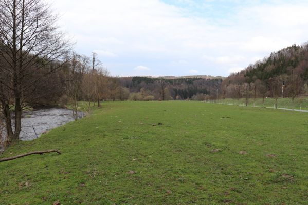 Orlické Podhůří, 6.4.2019
Luh – Klopoty, údolí Tiché Orlice. 
Klíčová slova: Orlické Podhůří Luh Klopoty Tichá Orlice pastvina
