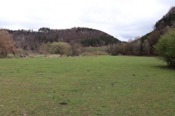 Orlické Podhůří, 6.4.2019
Luh – Klopoty, údolí Tiché Orlice. 
Klíčová slova: Orlické Podhůří Luh Klopoty Tichá Orlice pastvina