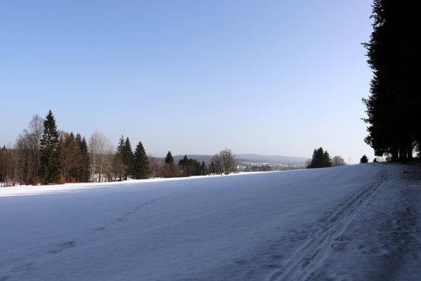 Orlické Záhoří, 25.2.2021
Trčkov - pohled k Bedřichovce.
Klíčová slova: Orlické Záhoří Trčkov Agrilinus convexus