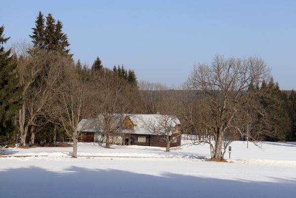 Orlické Záhoří, 25.2.2021
Trčkov - Trčkovské louky. 
Schlüsselwörter: Orlické Záhoří Trčkov Trčkovské louky
