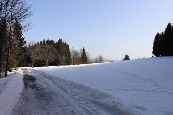 Orlické Záhoří, 25.2.2021
Trčkov - louka nad rezervací Trčkovské louky. Biotop hnojníků Agrilinus convexus (Erichson, 1848), viz Mertlik (2020).
Klíčová slova: Orlické Záhoří Trčkov Agrilinus convexus