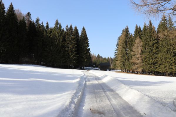 Orlické Záhoří, 25.2.2021
Trčkov - louka u seníku pod rezervací Trčkov. Biotop hnojníků Agrilinus convexus (Erichson, 1848), viz Mertlik (2020).
Schlüsselwörter: Orlické Záhoří Trčkov Agrilinus convexus