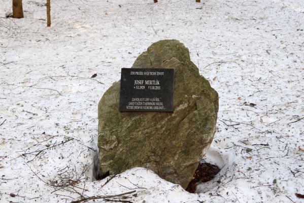 Orlické Záhoří, 25.2.2021
Trčkov - památník Josefa Mertlíka v rezervaci Trčkov.
Mots-clés: Orlické Záhoří Trčkov Josef Mertlík památník