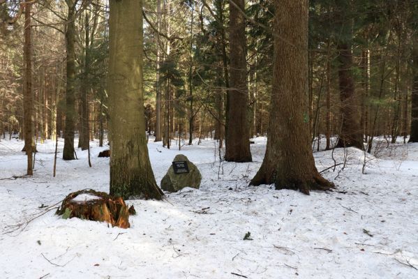 Orlické Záhoří, 25.2.2021
Trčkov - památník Josefa Mertlíka v rezervaci Trčkov.
Klíčová slova: Orlické Záhoří Trčkov Josef Mertlík památník