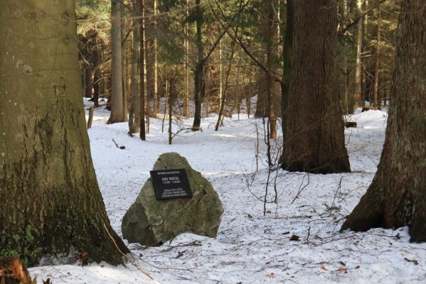Orlické Záhoří, 25.2.2021
Trčkov - památník Josefa Mertlíka v rezervaci Trčkov.
Klíčová slova: Orlické Záhoří Trčkov Josef Mertlík památník