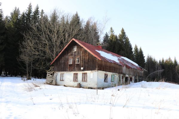 Orlické Záhoří, 25.2.2021
Trčkov - zpustlý dům Josefa Mertlíka (†2015). 
Klíčová slova: Orlické Záhoří Trčkov Josef Mertlík