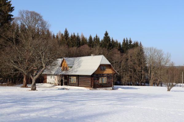 Orlické Záhoří, 25.2.2021
Trčkov - Trčkovské louky.
Klíčová slova: Orlické Záhoří Trčkov Trčkovské louky