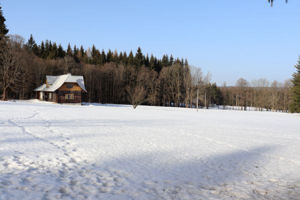 Orlické Záhoří, 25.2.2021
Trčkov - Trčkovské louky.
Keywords: Orlické Záhoří Trčkov Trčkovské louky