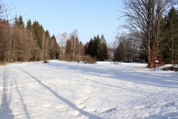 Orlické Záhoří, 25.2.2021
Trčkov - Trčkovské louky.
Klíčová slova: Orlické Záhoří Trčkov Trčkovské louky