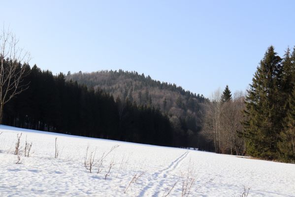 Orlické Záhoří, 25.2.2021
Trčkov - pohled na rezervaci Trčkov.
Schlüsselwörter: Orlické Záhoří Trčkov