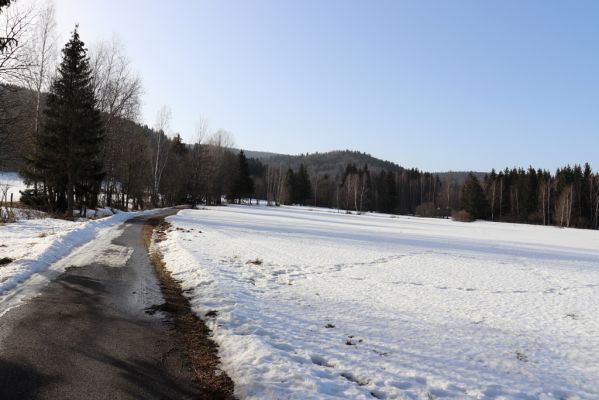 Orlické Záhoří, 25.2.2021
Trčkov - pohled na rezervaci Trčkov.
Klíčová slova: Orlické Záhoří Trčkov