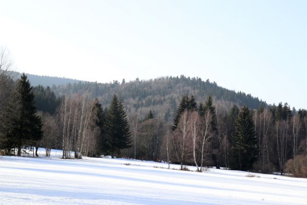 Orlické Záhoří, 25.2.2021
Trčkov - pohled na rezervaci Trčkov.
Keywords: Orlické Záhoří Trčkov