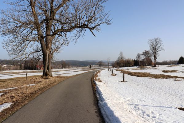 Orlické Záhoří, 25.2.2021
Trčkov - pohled k Bedřichovce.
Klíčová slova: Orlické Záhoří Bedřichovka Trčkov