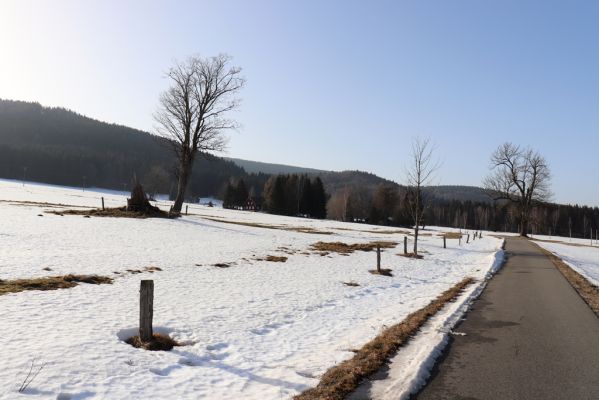 Orlické Záhoří, 25.2.2021
Bedřichovka - pohled k Trčkovu.
Schlüsselwörter: Orlické Záhoří Bedřichovka Trčkov