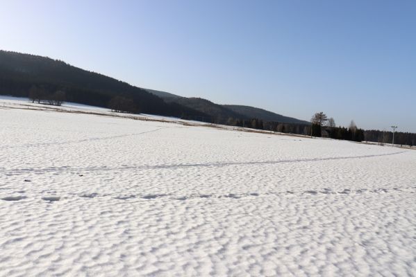 Orlické Záhoří, 25.2.2021
Bedřichovka - pohled k Trčkovu.
Schlüsselwörter: Orlické Záhoří Bedřichovka Trčkov