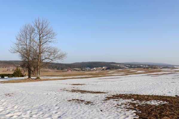 Orlické Záhoří, 25.2.2021
Bedřichovka - pohled k Orlickému Záhoří.
Klíčová slova: Orlické Záhoří Bedřichovka
