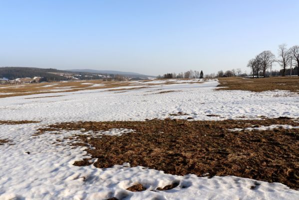 Orlické Záhoří, 25.2.2021
Bedřichovka - pohled k Orlickému Záhoří.
Schlüsselwörter: Orlické Záhoří Bedřichovka