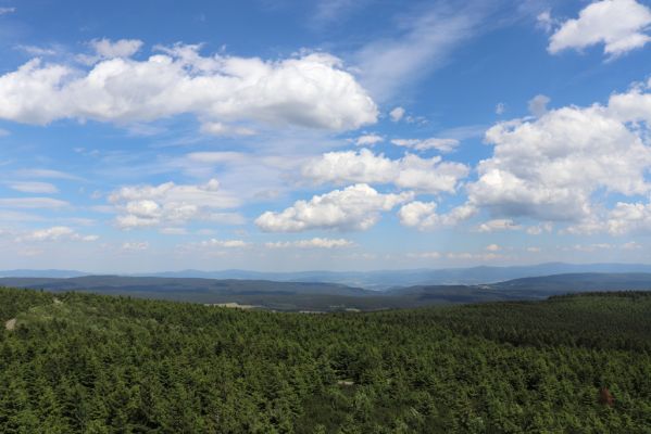 Deštné v Orlických horách, 10.7.2020
Velká Deštná - pohled na východ na Orlické Záhoří a Klodzko.
Schlüsselwörter: Deštné v Orlických horách Orlické hory Velká Deštná Orlické Záhoří Klodzko