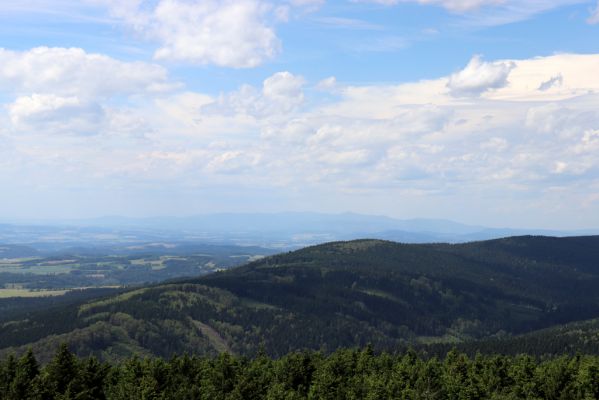 Deštné v Orlických horách, 10.7.2020
Velká Deštná - pohled na severozápad na Krkonoše.
Klíčová slova: Deštné v Orlických horách Orlické hory Velká Deštná Krkonoše
