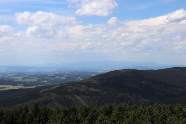 Deštné v Orlických horách, 10.7.2020
Velká Deštná - pohled na severozápad na Krkonoše.
Klíčová slova: Deštné v Orlických horách Orlické hory Velká Deštná Krkonoše