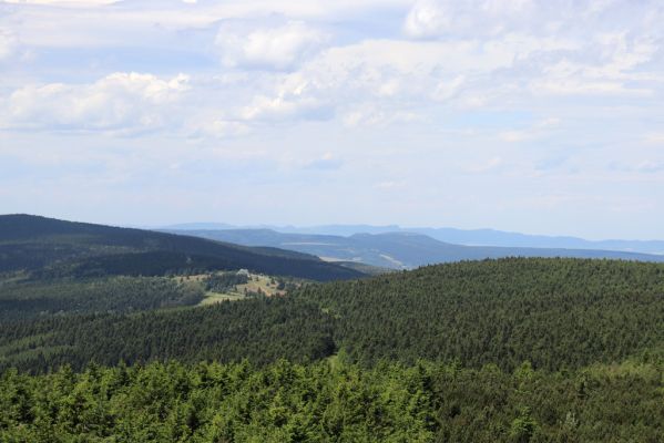 Deštné v Orlických horách, 10.7.2020
Velká Deštná - pohled na sever na Šerlich. V pozadí Hejšovina.
Keywords: Deštné v Orlických horách Orlické hory Velká Deštná Hejšovina