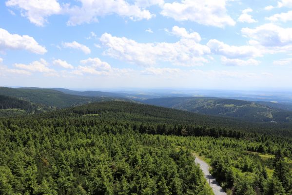 Deštné v Orlických horách, 10.7.2020
Velká Deštná - pohled na jih na údolí Zdobnice.
Keywords: Deštné v Orlických horách Orlické hory Velká Deštná