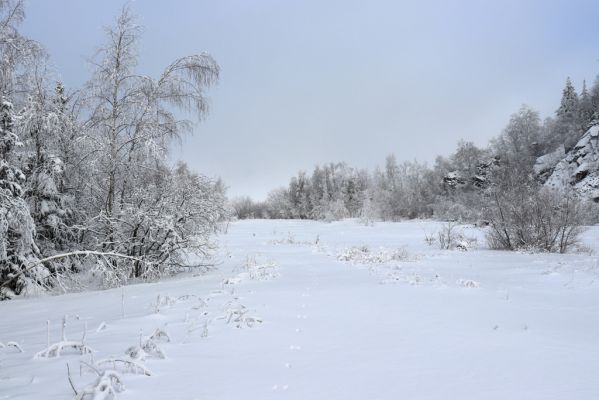 Deštné v Orlických horách, 18.1.2021
Špičák - pohled do lomu.
Schlüsselwörter: Orlické hory Deštné v Orlických horách Špičák