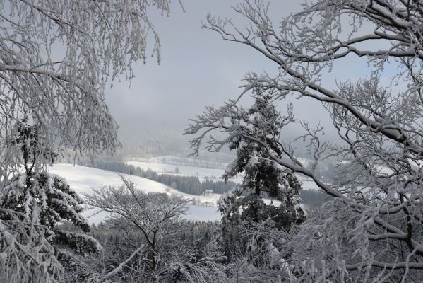 Deštné v Orlických horách, 18.1.2021
Špičák - pohled k Deštnému v Orlických horách.
Mots-clés: Orlické hory Deštné v Orlických horách Špičák