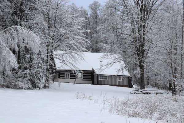 Dobřany, 18.1.2021
Chřiby, chalupa pod lesem u Plasnice.
Klíčová slova: Orlické hory Dobřany Chřiby