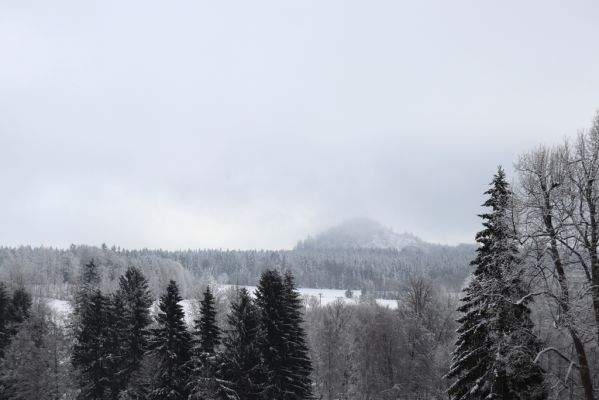 Deštné v Orlických horách, 18.1.2021
Plasnice - pohled na Špičák.
Mots-clés: Orlické hory Deštné v Orlických horách Plasnice Špičák