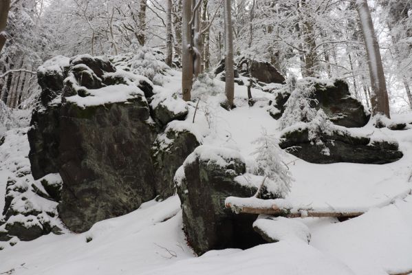 Dobřany, 18.1.2021
Chřiby - bučina na skalnatém východním svahu.
Mots-clés: Orlické hory Dobřany Chřiby bučina