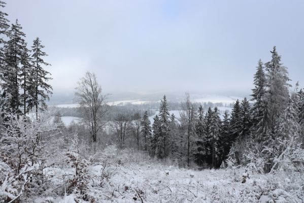 Dobřany, 18.1.2021
Chřiby - pohled k Sedloňovskému vrchu.
Keywords: Orlické hory Dobřany Chřiby Sedloňovský vrch