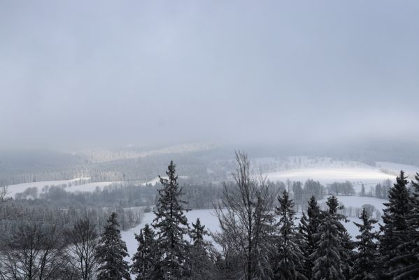 Dobřany, 18.1.2021
Chřiby - pohled k Sedloňovskému vrchu.
Keywords: Orlické hory Dobřany Chřiby Sedloňovský vrch