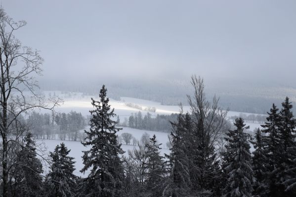 Dobřany, 18.1.2021
Chřiby - pohled k Sedloňovskému vrchu.
Klíčová slova: Orlické hory Dobřany Chřiby Sedloňovský vrch