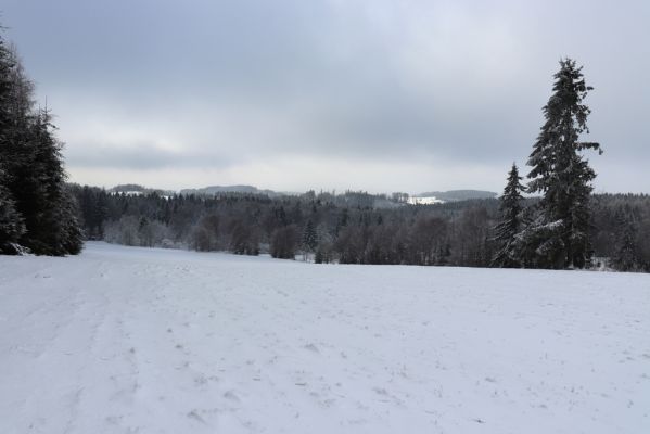 Dobřany, 18.1.2021
Chřiby pohled k Dobřanům.
Klíčová slova: Orlické hory Dobřany Chřiby sedlo