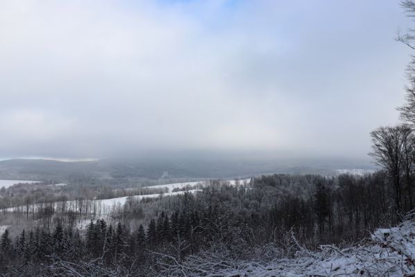 Dobřany, 18.1.2021
Chřiby, severní část hřbetu - pohled na Sedloňovský vrch.
Klíčová slova: Orlické hory Dobřany Chřiby Sedloňovský vrch