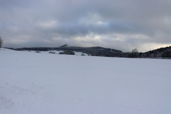 Deštné v Orlických horách, 18.1.2021
Plasnice, V Dolcích - pohled na Špičák.
Keywords: Orlické hory Deštné v Orlických horách Plasnice V Dolcích Špičák