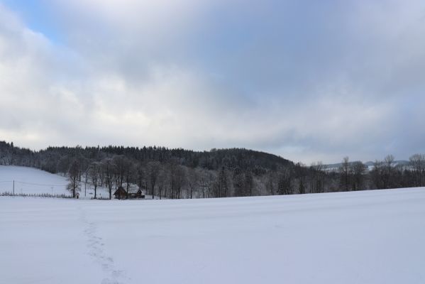 Deštné v Orlických horách, 18.1.2021
Plasnice, V Dolcích. Pohled na Chřiby - severní část hřbetu.
Schlüsselwörter: Orlické hory Deštné v Orlických horách Plasnice V Dolcích Chřiby