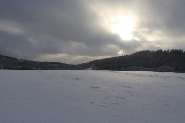 Deštné v Orlických horách, 18.1.2021
Plasnice, Na Úhoru - pohled na Chřiby.
Schlüsselwörter: Orlické hory Deštné v Orlických horách Plasnice Na Úhoru Chřiby