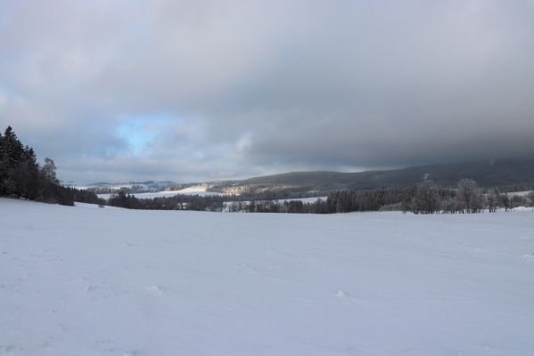 Deštné v Orlických horách, 18.1.2021
Plasnice, Na Úhoru - pohled k Sedloňovu.
Schlüsselwörter: Orlické hory Deštné v Orlických horách Plasnice Na Úhoru Sedloňov