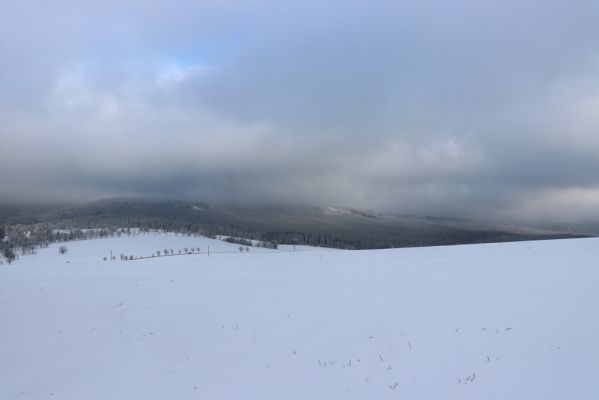 Deštné v Orlických horách, 18.1.2021
Plasnice, Na Úhoru - pohled Sedloňovský vrch.
Klíčová slova: Orlické hory Deštné v Orlických horách Plasnice Na Úhoru Sedloňovský vrch