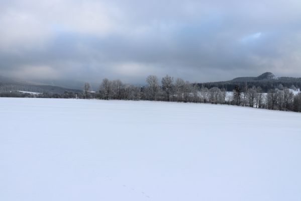 Deštné v Orlických horách, 18.1.2021
Plasnice, Na Úhoru - pohled na Špičák.
Keywords: Orlické hory Deštné v Orlických horách Plasnice Na Úhoru Špičák